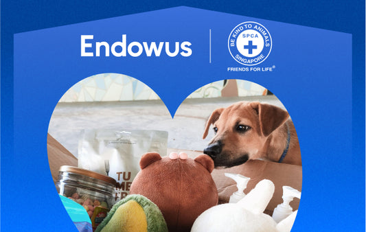 Donate to SPCA (Endowus Gives Back)
