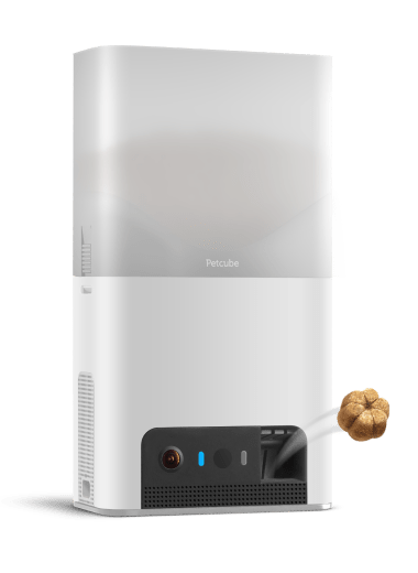 Petcube Bites 2 Lite