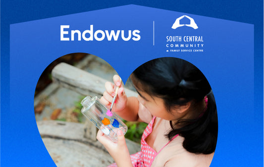 Donate to South Central Community Family Service (Endowus Gives Back)