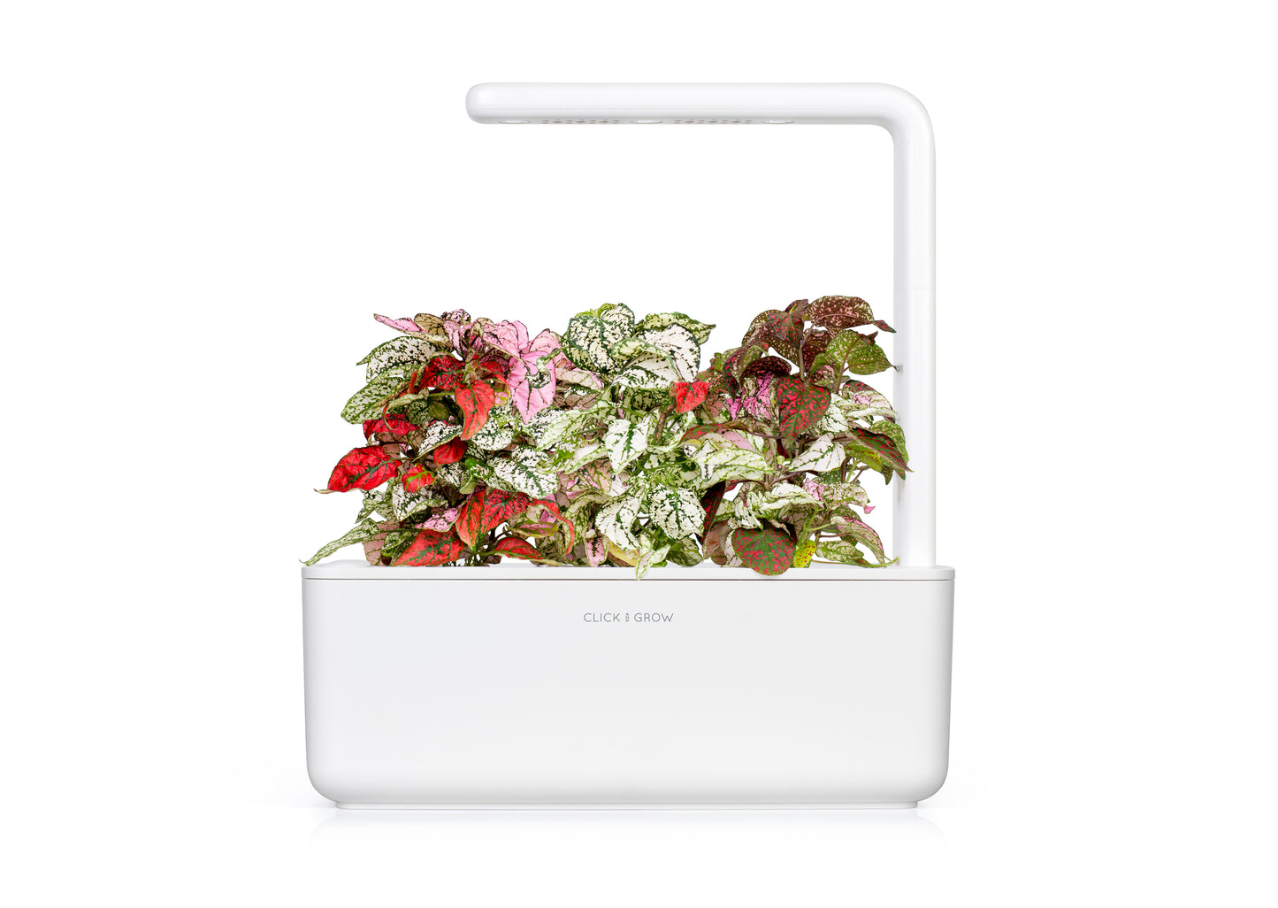Click & Grow Smart Garden 3 (White)