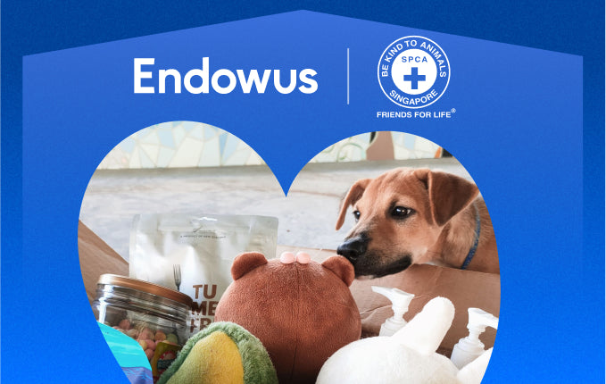 Donate to SPCA (Endowus Gives Back)